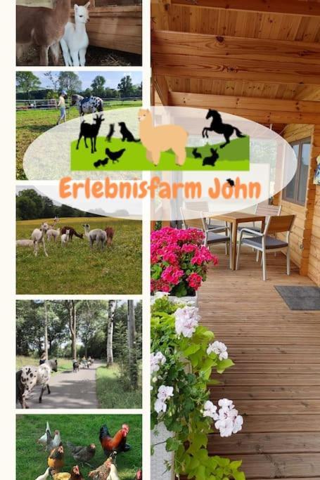 Ferienwohnung Erlebnisfarm John Sayda Exterior photo